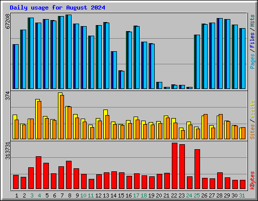 Daily usage for August 2024