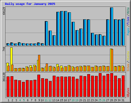 Daily usage for January 2025