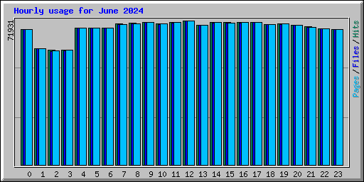 Hourly usage for June 2024