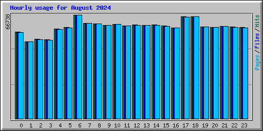 Hourly usage for August 2024