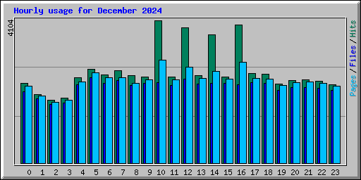 Hourly usage for December 2024