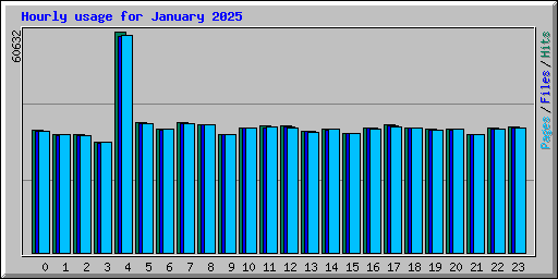 Hourly usage for January 2025