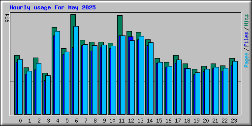 Hourly usage for May 2025