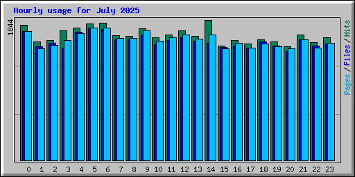 Hourly usage for July 2025