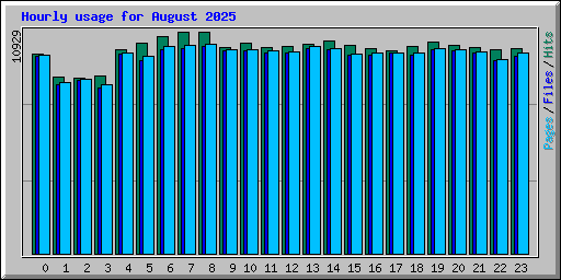 Hourly usage for August 2025