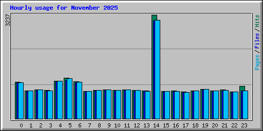 Hourly usage for November 2025