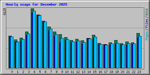 Hourly usage for December 2025
