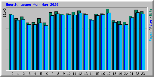 Hourly usage for May 2026